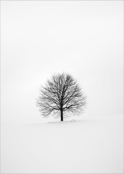 Solitary 1 | PLAKAT Plakat MF