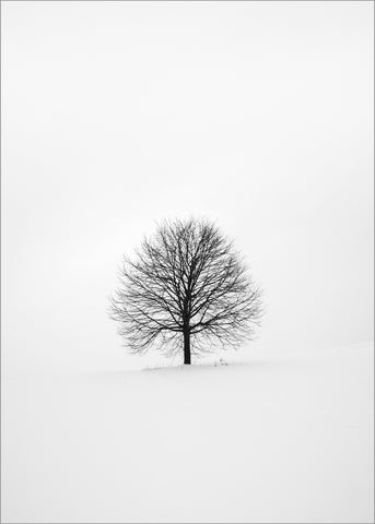 Solitary 1 | PLAKAT Plakat MF