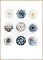 Sterling 2 | INDRAMMET BILLEDE