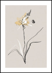 Summer Plant 1 | INDRAMMET BILLEDE Indrammet billede MF 30x40 Sort