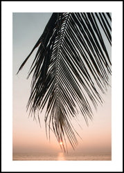 Sunset leaves | INDRAMMET BILLEDE Indrammet billede MF 30x40 Sort