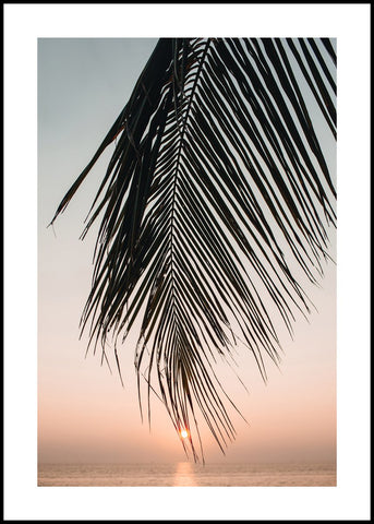 Sunset leaves | INDRAMMET BILLEDE Indrammet billede MF 30x40 Sort