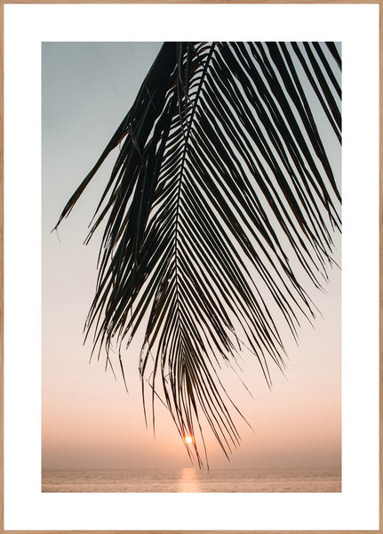 Sunset leaves | INDRAMMET BILLEDE Indrammet billede MF 30x40 Egeramme