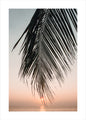 Sunset Leaves | PLAKAT