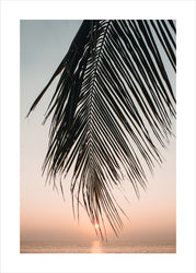 Sunset Leaves | PLAKAT Plakat MF