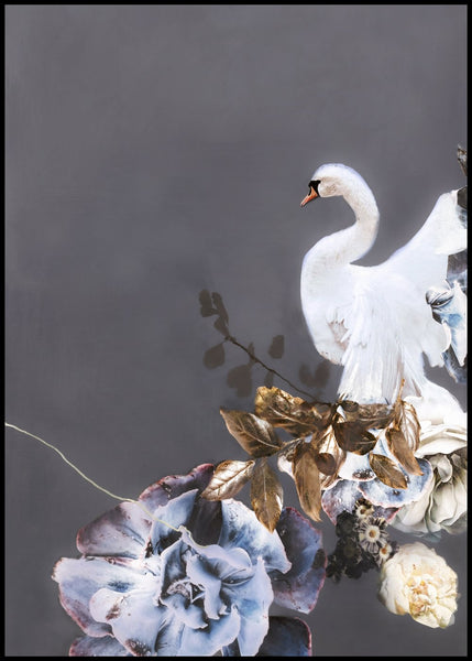 Swan Gold 1 | INDRAMMET BILLEDE Indrammet billede MF