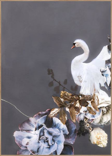 Swan Gold 1 | INDRAMMET BILLEDE Indrammet billede MF