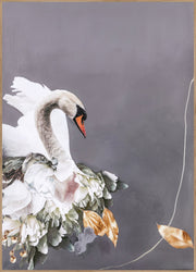 Swan Gold 2 | INDRAMMET BILLEDE Indrammet billede MF