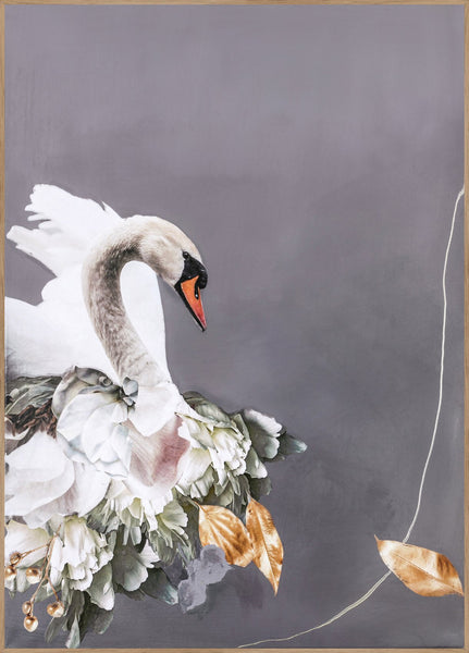 Swan Gold 2 | INDRAMMET BILLEDE Indrammet billede MF