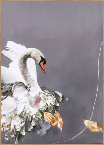 Swan Gold 2 | INDRAMMET BILLEDE Indrammet billede MF