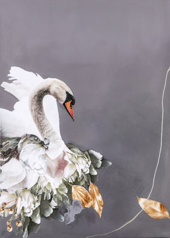 Swan Gold 2 | PLAKAT Plakat MF