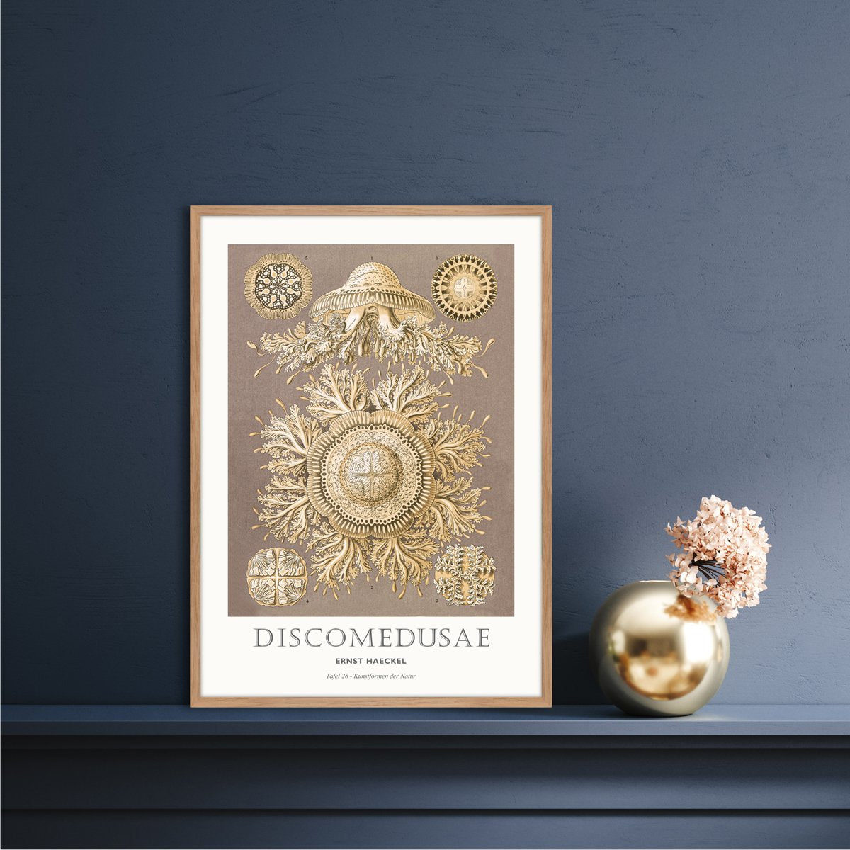 Tafel 28 | PLAKAT Plakat MF