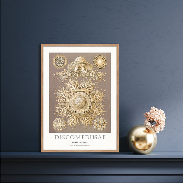 Tafel 28 | PLAKAT Plakat MF