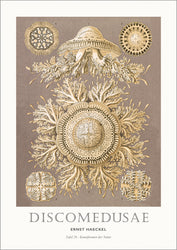 Tafel 28 | PLAKAT Plakat MF