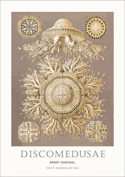 Tafel 28 | PLAKAT Plakat MF