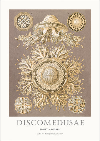 Tafel 28 | PLAKAT Plakat MF