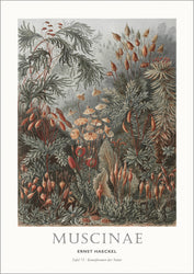Tafel 72 | PLAKAT Plakat MF