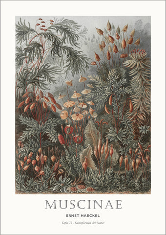 Tafel 72 | PLAKAT Plakat MF