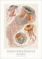 Tafel 8 | PLAKAT