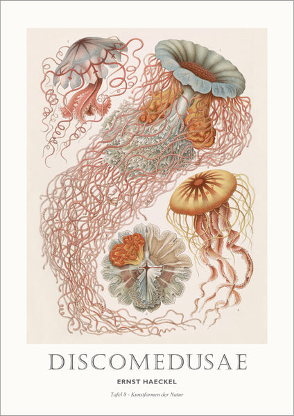Tafel 8 | PLAKAT Plakat MF