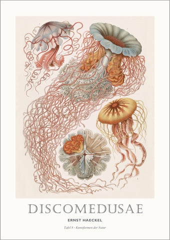 Tafel 8 | PLAKAT Plakat MF