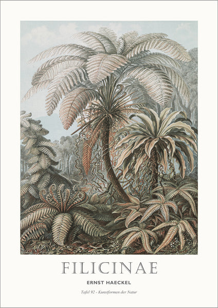 Tafel 92 | PLAKAT Plakat MF