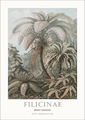 Tafel 92 | PLAKAT Plakat MF