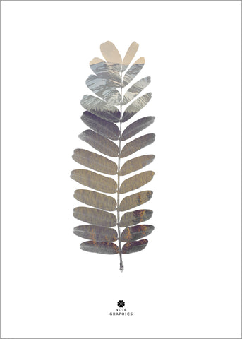Tamarind leaf | PLAKAT Plakat MF