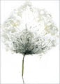 Tenderness 1 | PLAKAT