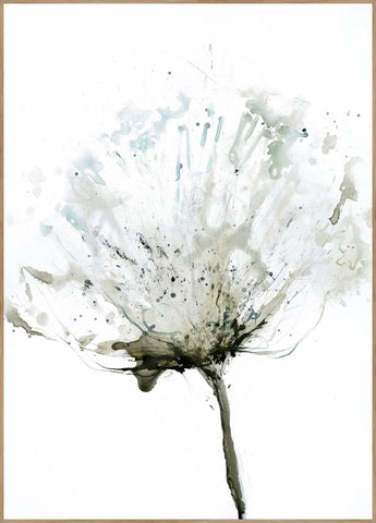 Tenderness 2 | INDRAMMET BILLEDE Indrammet billede MF 30x40 Egeramme