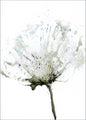 Tenderness 2 | PLAKAT