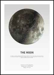 The Moon Light | INDRAMMET BILLEDE Indrammet billede MF 30x40 Sort
