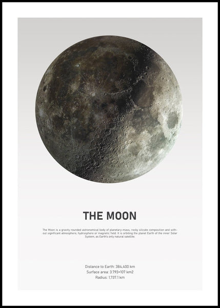 The Moon Light | INDRAMMET BILLEDE Indrammet billede MF 30x40 Sort