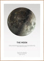The Moon Light | INDRAMMET BILLEDE