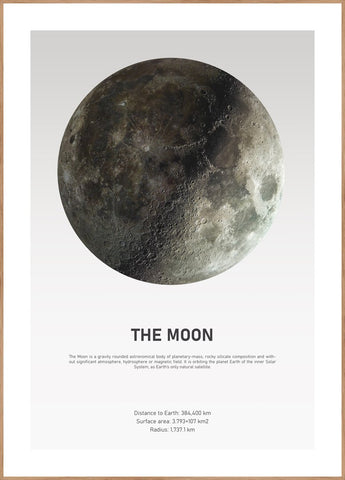 The Moon Light | INDRAMMET BILLEDE Indrammet billede MF 30x40 Egeramme