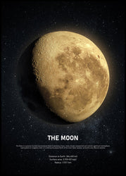 The Moon | INDRAMMET BILLEDE Indrammet billede MF 30x40 Sort