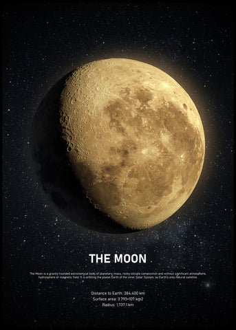 The Moon | INDRAMMET BILLEDE Indrammet billede MF 30x40 Sort