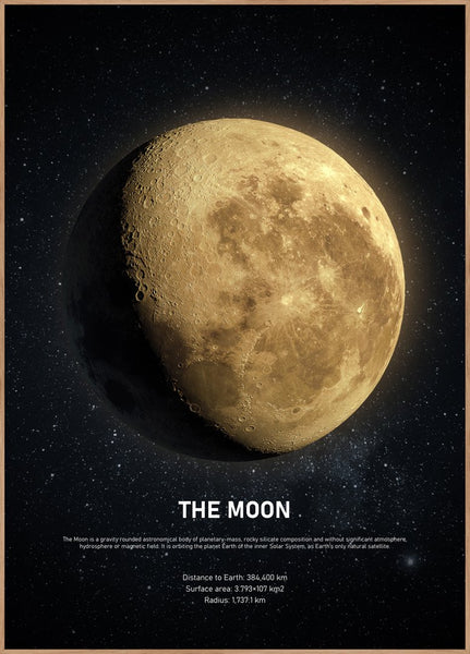 The Moon | INDRAMMET BILLEDE Indrammet billede MF 30x40 Egeramme