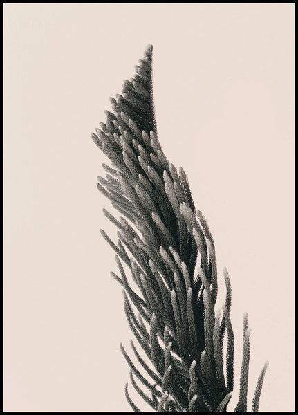 Upwards 1 | INDRAMMET BILLEDE Indrammet billede MF