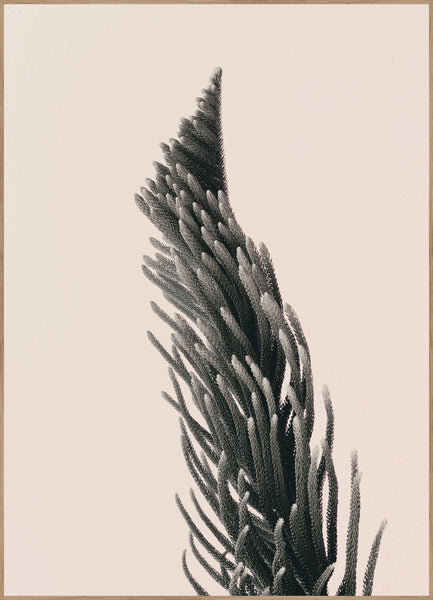 Upwards 1 | INDRAMMET BILLEDE Indrammet billede MF