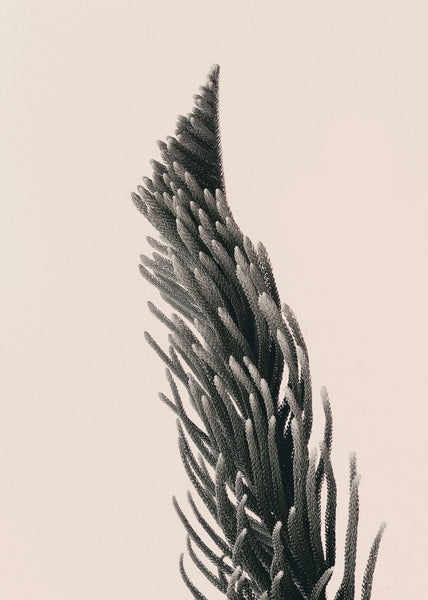 Upwards 1 | INDRAMMET BILLEDE Indrammet billede MF