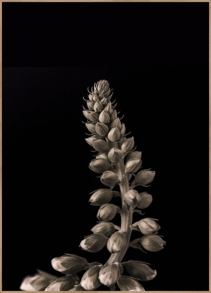 Upwards 2 | INDRAMMET BILLEDE Indrammet billede MF