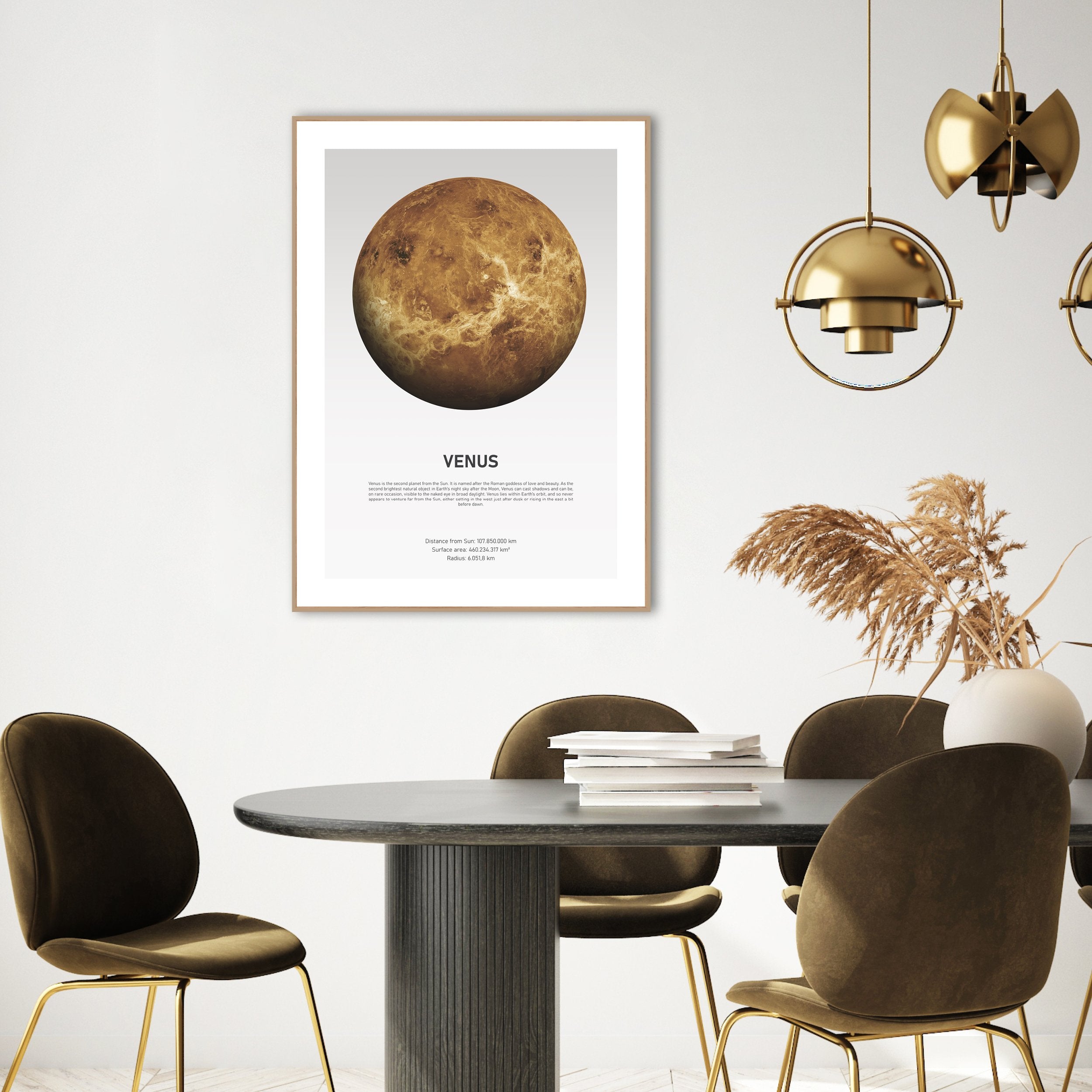 Venus Light | INDRAMMET BILLEDE Indrammet billede MF 30x40 Egeramme