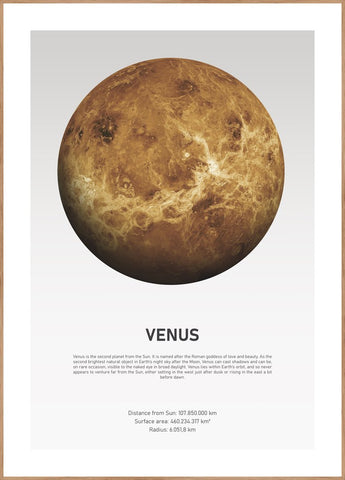Venus Light | INDRAMMET BILLEDE Indrammet billede MF 30x40 Egeramme