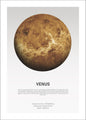 Venus Light | PLAKAT