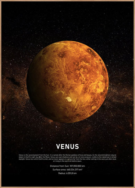 Venus | INDRAMMET BILLEDE Indrammet billede MF 30x40 Egeramme