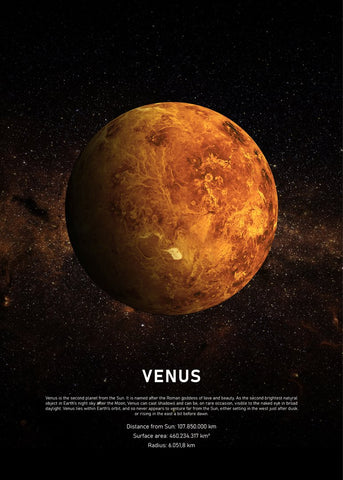 Venus | PLAKAT Plakat MF