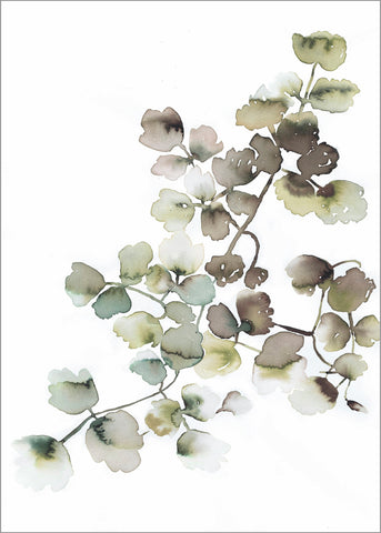 Water plants 1 | PLAKAT | POSTER Plakat MF