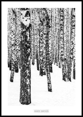 White Edition 1 | INDRAMMET BILLEDE Indrammet billede MF 30x40 Sort