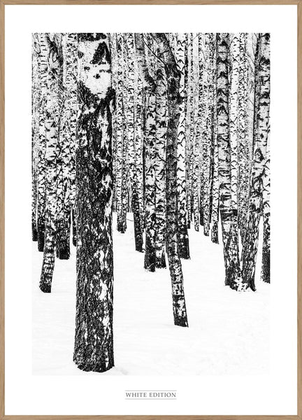 White Edition 1 | INDRAMMET BILLEDE Indrammet billede MF 30x40 Egeramme